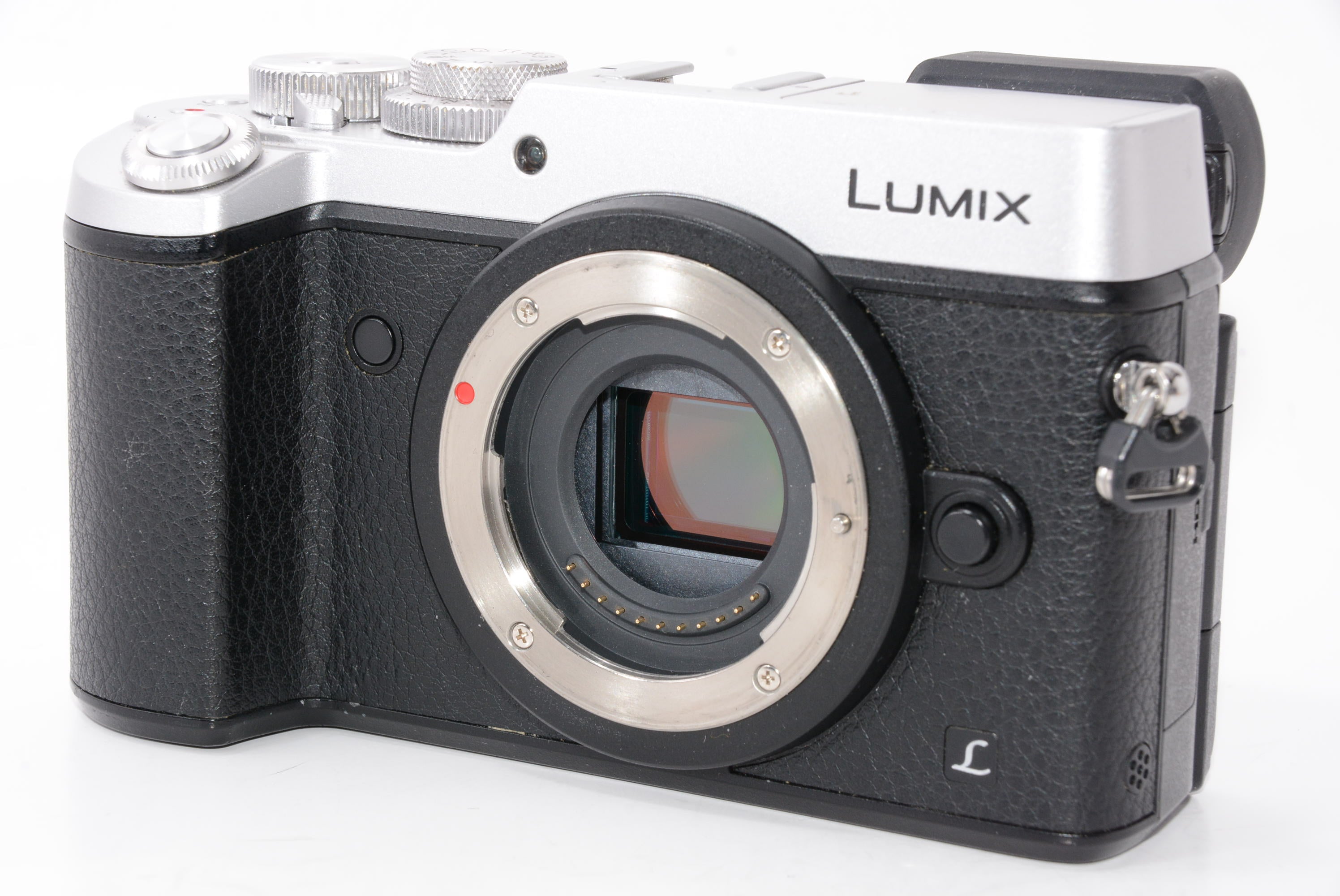 LUMIX GX8☆孤高のストリート一眼カメラ(ショット数は僅か2135回 ...