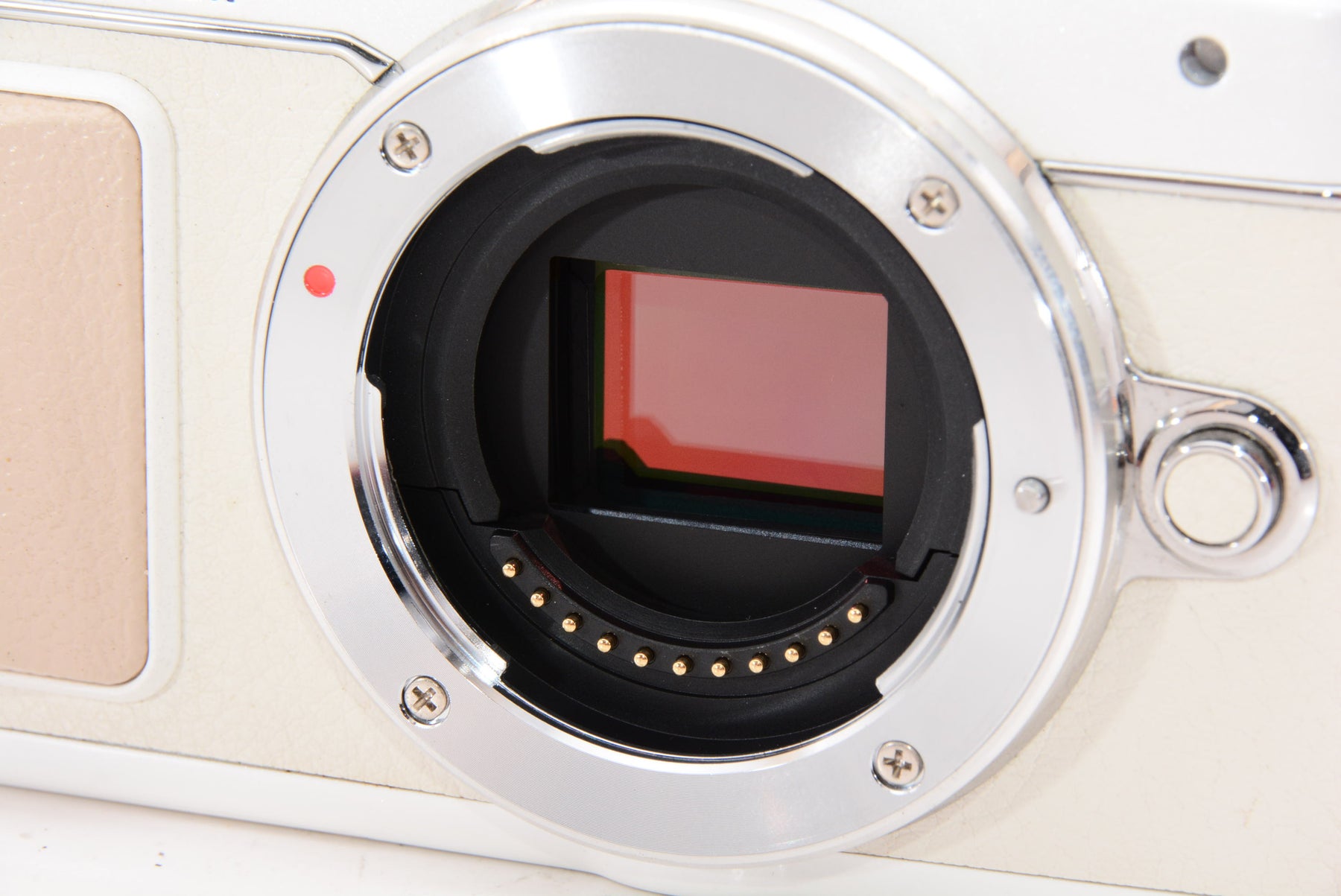 【外観特上級】OLYMPUS PEN E-PL7 ボディ ホワイト ミラーレス一眼 PEN E-PL7 BODY WHT