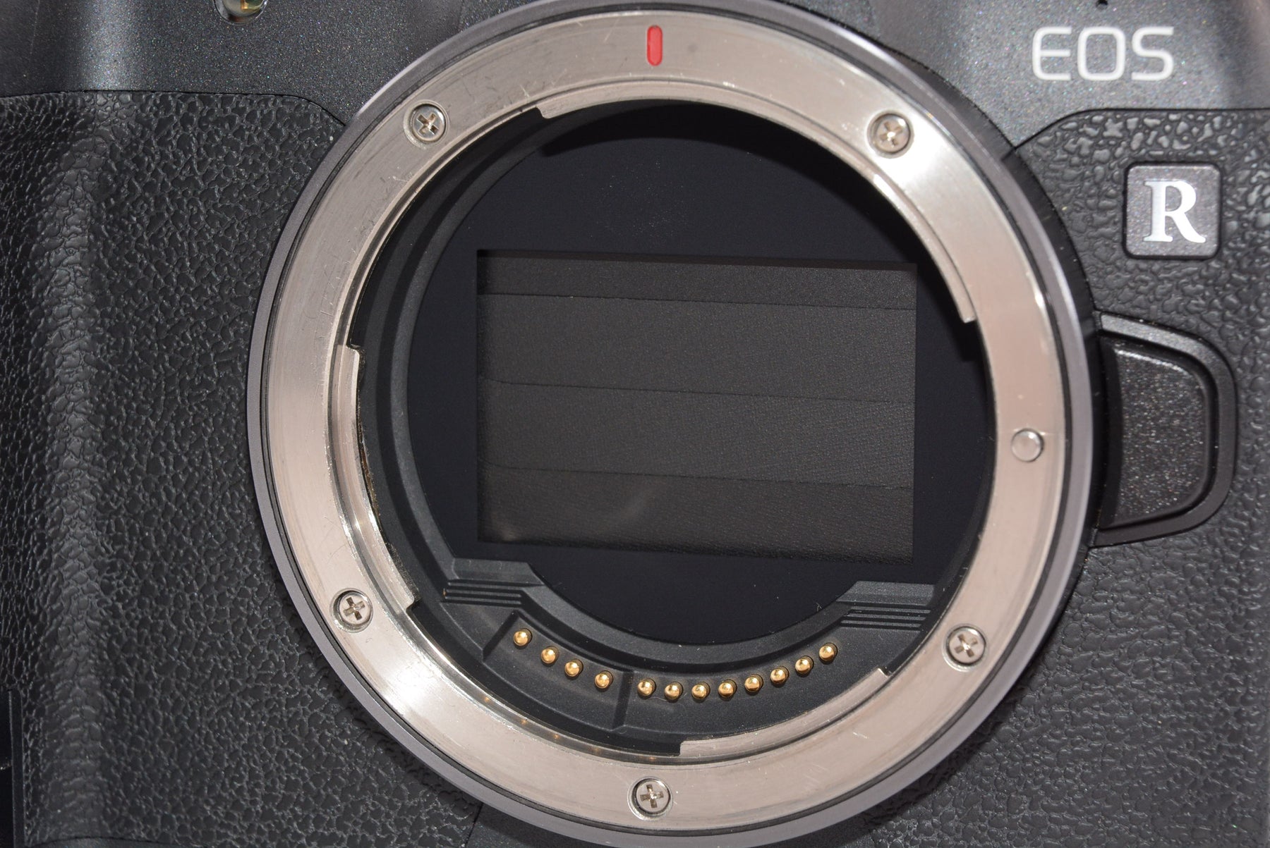 【外観特上級】Canon ミラーレス一眼カメラ EOS R ボディー EOSR