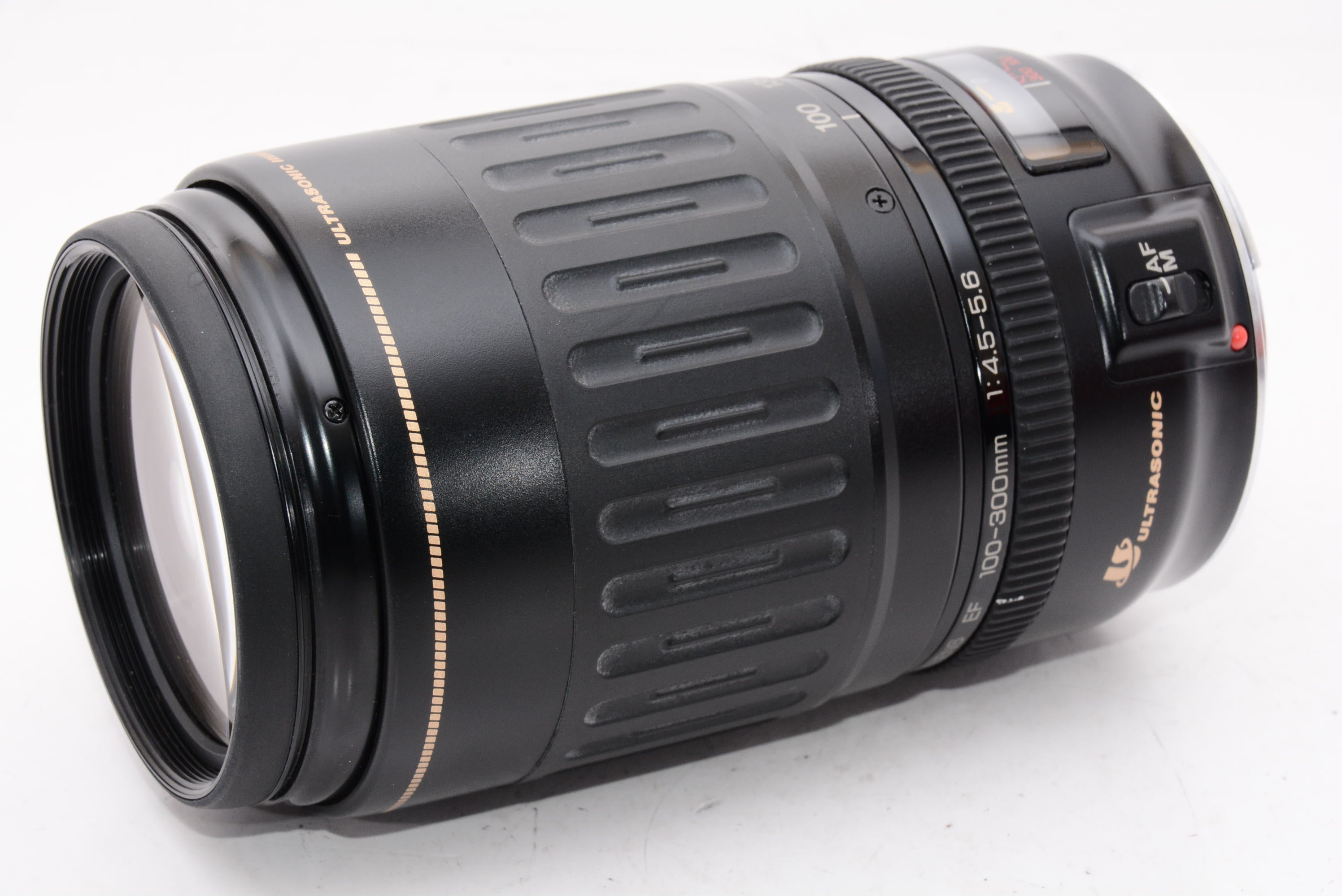 Canon EF 100-300mm 4.5-5.6 ULTRASONIC