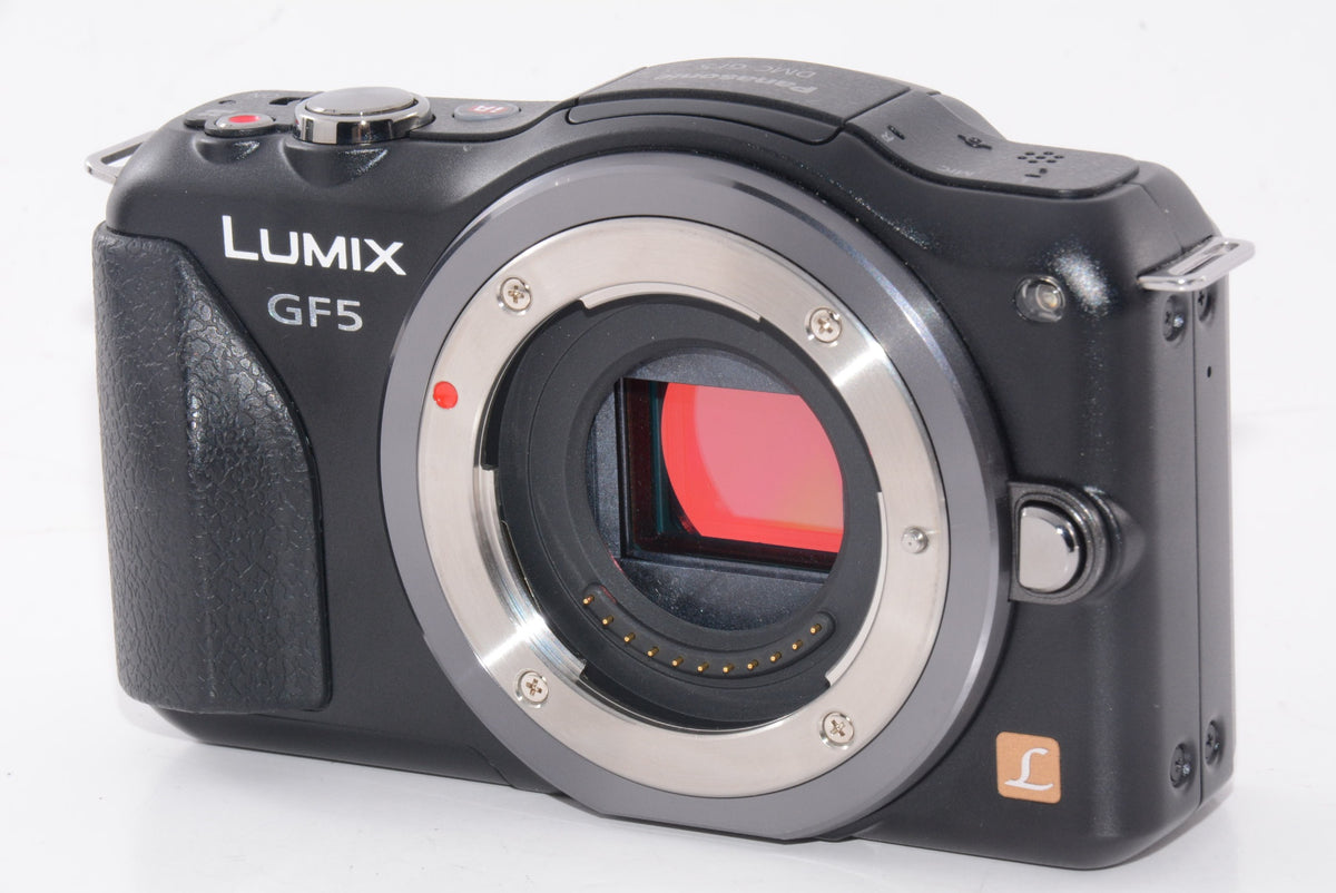 【外観特上級】Panasonic パナソニック  LUMIX DMC-GF5 ボディ
