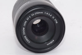 【外観特上級】Canon 望遠ズームレンズ EF-S55-250mm F4-5.6 IS STM