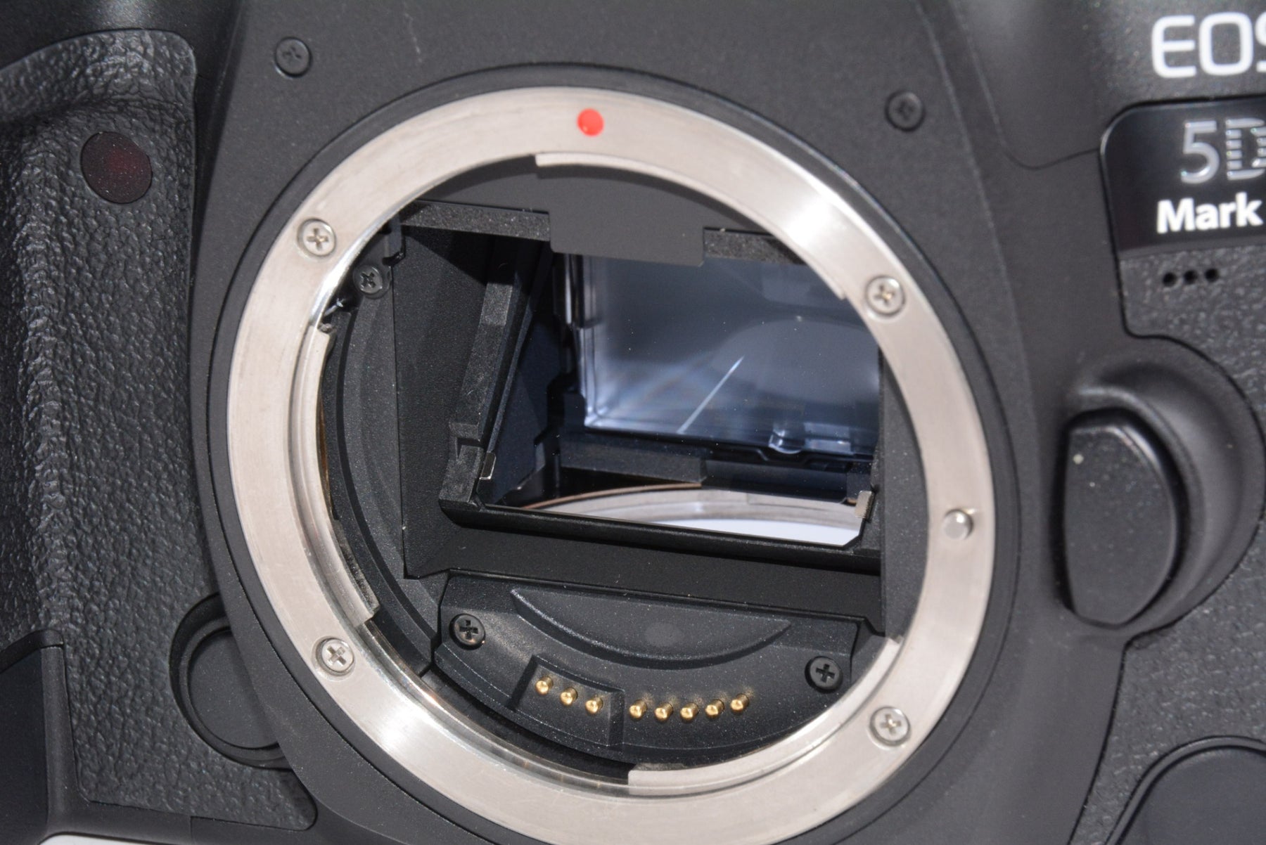 【外観特上級】Canon デジタル一眼レフカメラ EOS 5D Mark IV ボディー