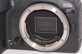 【外観特上級】キヤノン EOS R7 ボディ