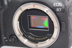 【外観特上級】キヤノン EOS R7 ボディ