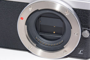 【外観特上級】Panasonic デジタル一眼カメラ ルミックス GM1 シルバー DMC-GM1 ボディ