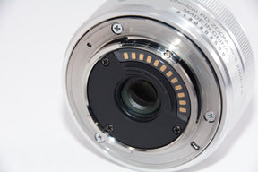 【外観特上級】Nikon 標準ズームレンズ1 NIKKOR VR 10-30mm f/3.5-5.6 PD-ZOOM シルバー
