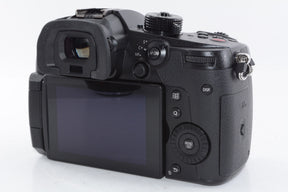 【外観特上級】パナソニック ミラーレス一眼カメラ ルミックス GH5M2 レンズキット 標準ズームレンズ付属 ブラック DC-GH5M2M
