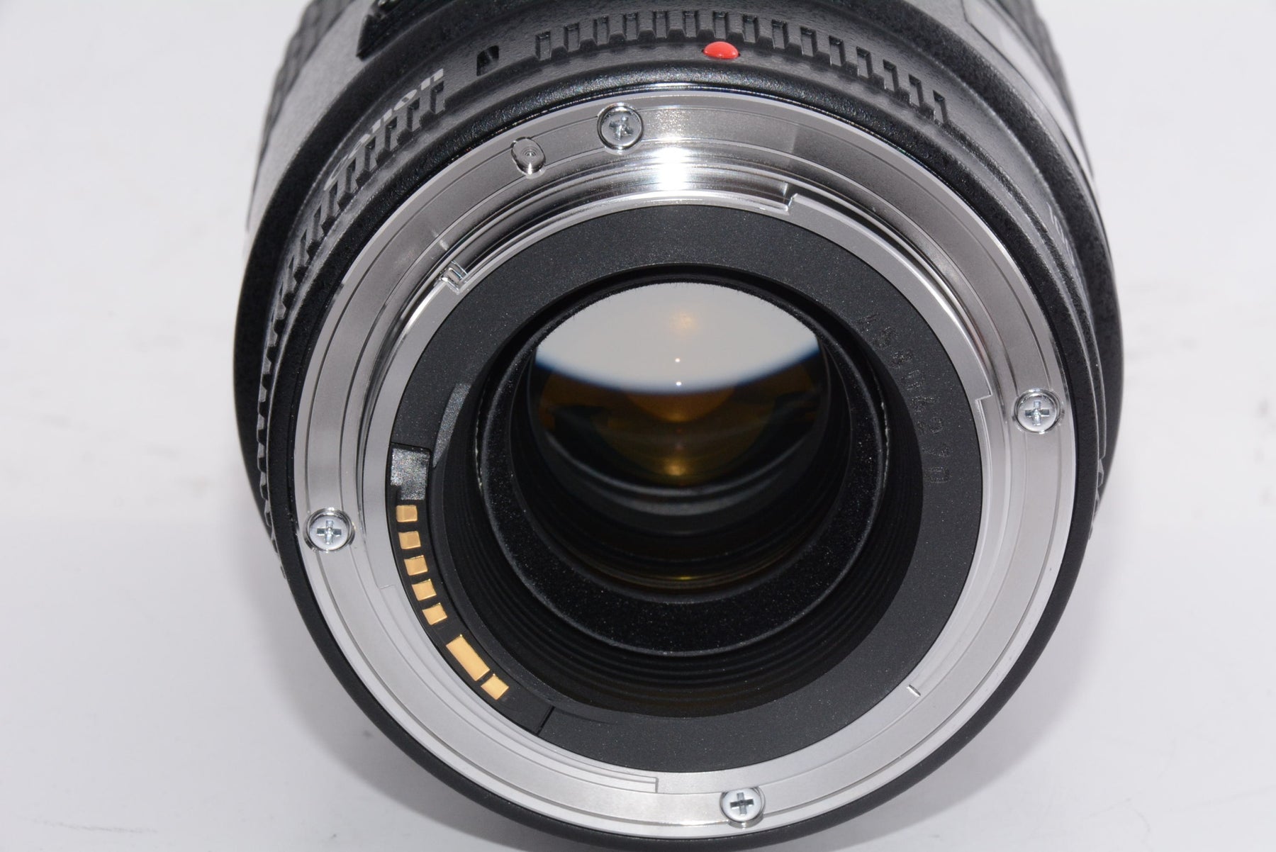 【外観特上級】Canon 単焦点マクロレンズ EF100mm F2.8 マクロ USM フルサイズ対応