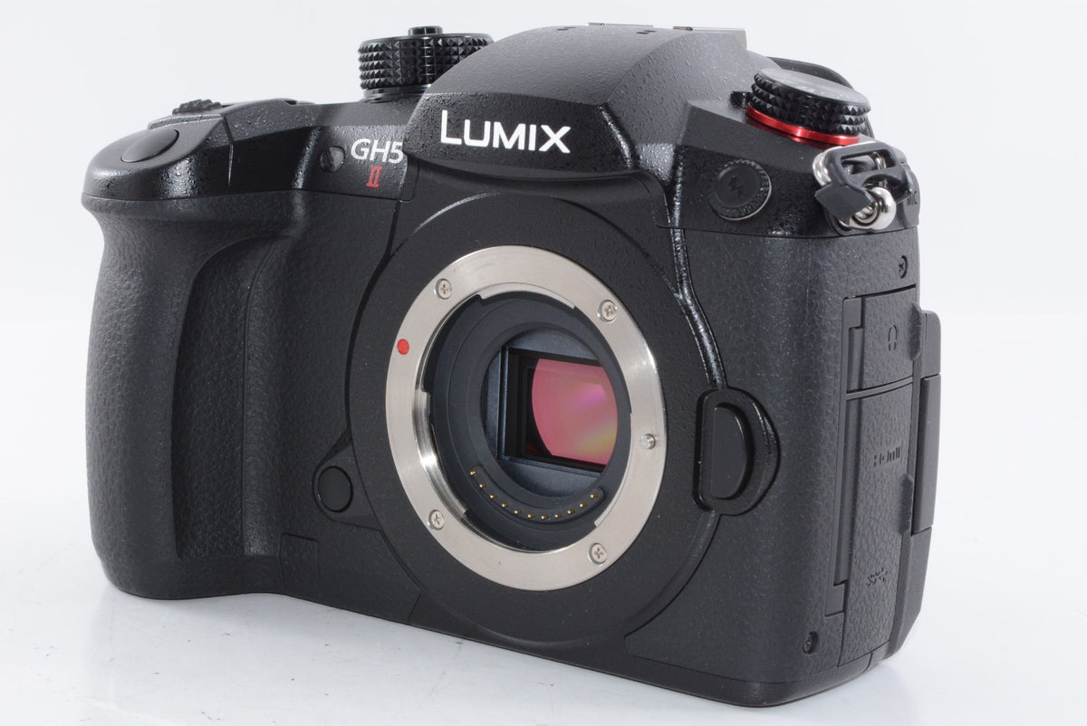 【外観特上級】パナソニック ミラーレス一眼カメラ ルミックス GH5M2 レンズキット 標準ズームレンズ付属 ブラック DC-GH5M2M