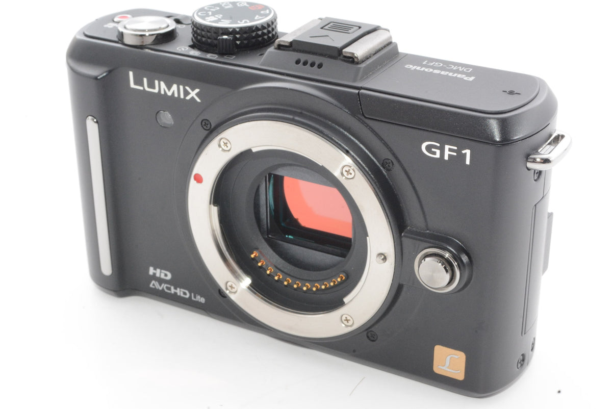 【外観特上級】Panasonic LUMIX GF1 ボディ DMC-GF1