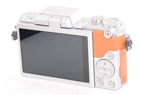 【外観特上級】Panasonic ミラーレス一眼カメラ DMC-GF7