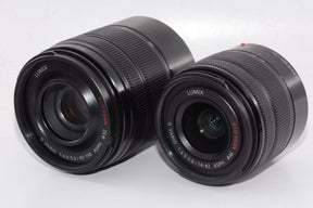 【外観並級】パナソニック ルミックス ミラーレス一眼カメラ GF6 ダブルズームレンズキット ブラック DMC-GF6W-K