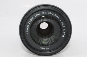 【外観並級】Canon  EF-S55-250mm F4-5.6 IS STM