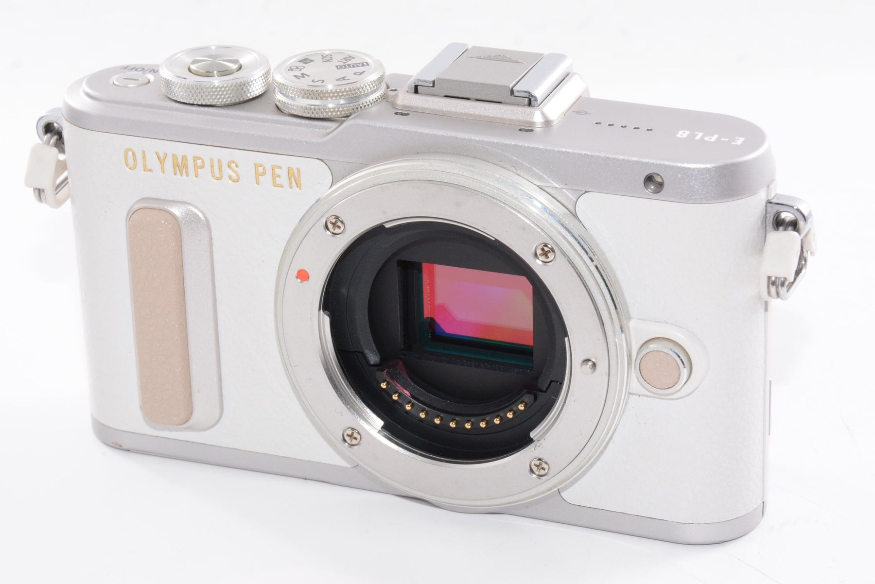 【外観並級】OLYMPUS ミラーレス一眼 E-PL8 ダブルズームキット ホワイト