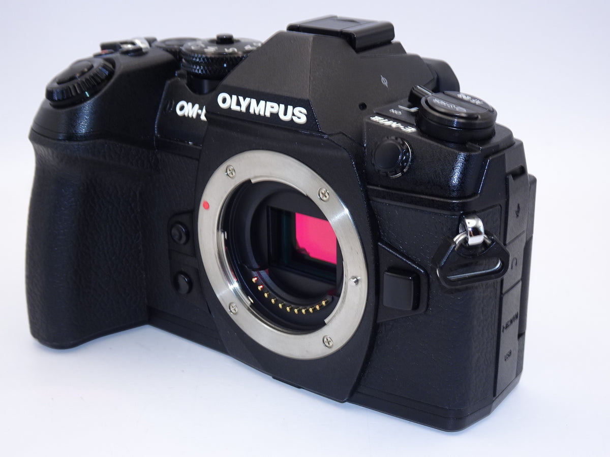 【外観特上級】OLYMPUS ミラーレス一眼カメラ OM-D E-M1 MarkII ボディー