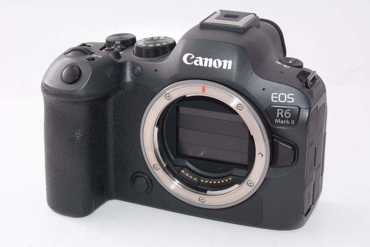 【外観特上級】キヤノン EOSR6MK2 EOS R6 Mark II・ボディー