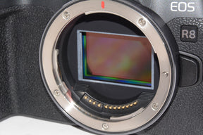 【外観特上級】Canon キヤノン ミラーレス一眼カメラ EOS R8 本体のみ RFマウント