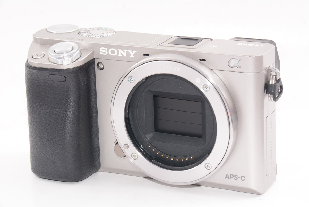 【外観並級】SONY ミラーレス一眼 α6000 ダブルズームレンズキット