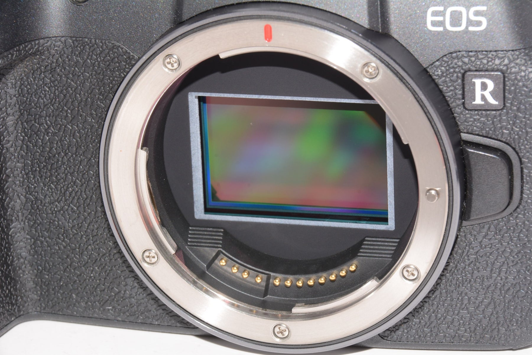 【外観特上級】Canon ミラーレス一眼カメラ EOS RP ボディー EOSRP