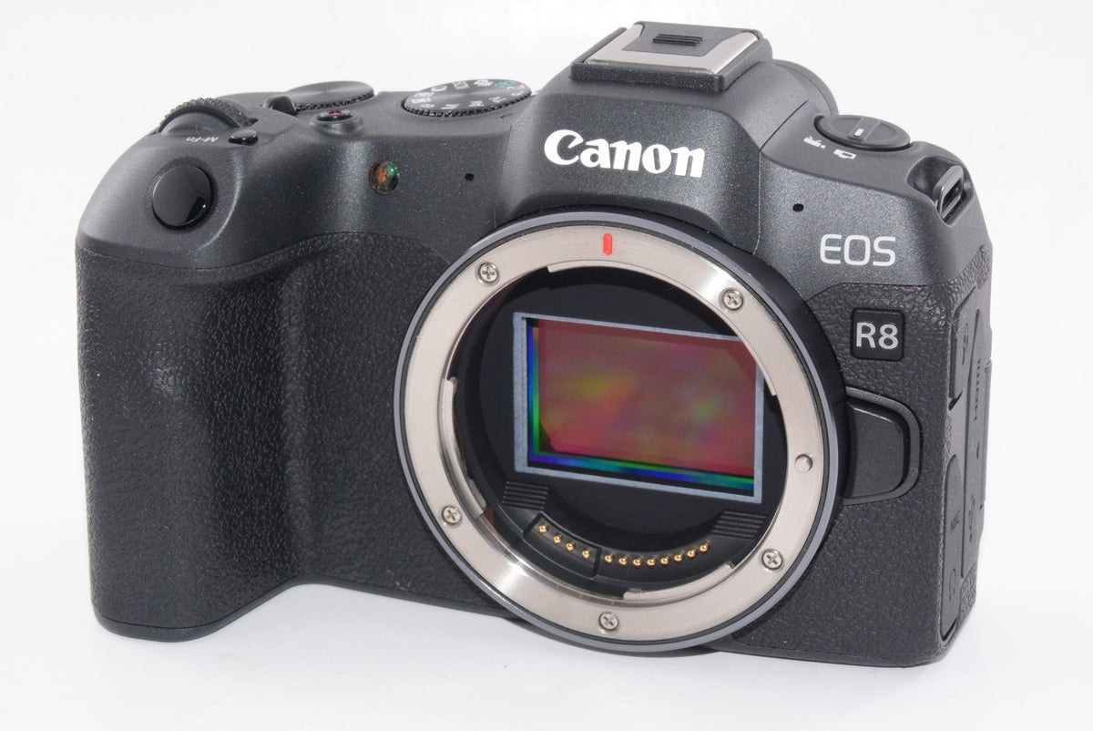 【外観特上級】キヤノン ミラーレスカメラ レンズキット Canon EOSR8