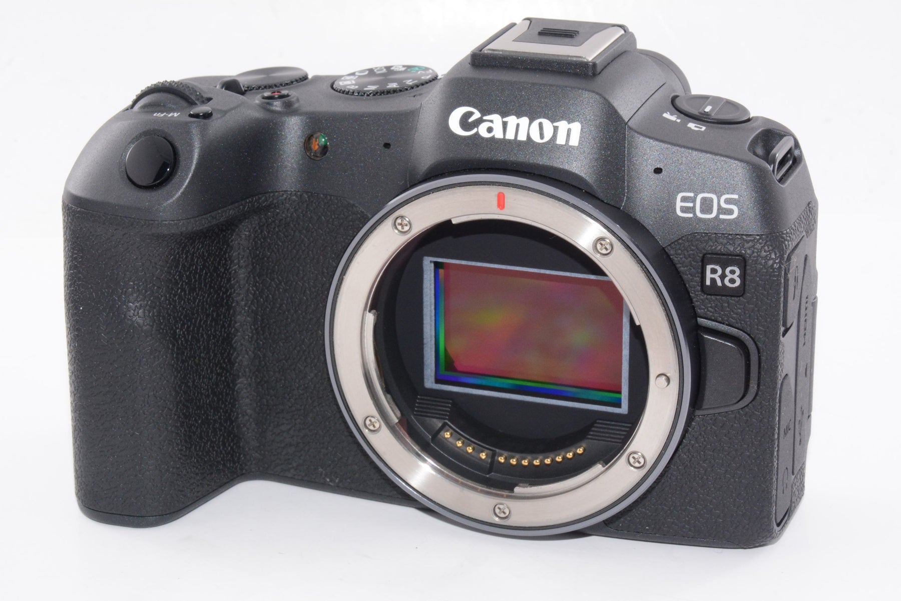 【外観特上級】キヤノン ミラーレスカメラ レンズキット Canon EOSR8