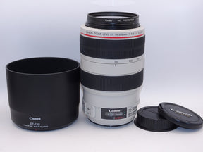 【外観特上級】Canon EF70-300mm F4-5.6L IS USM