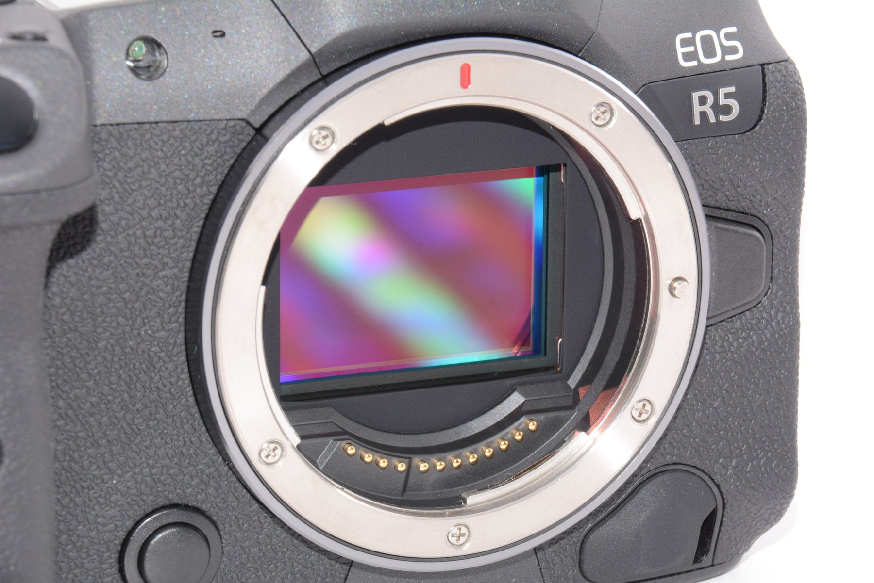 【外観特上級】Canon ミラーレス一眼カメラ EOS R5 ボディ