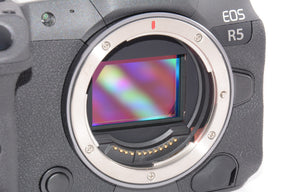 【外観特上級】Canon ミラーレス一眼カメラ EOS R5 ボディ