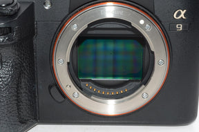 【外観並級】ソニー SONY  α9 ボディ ILCE-9