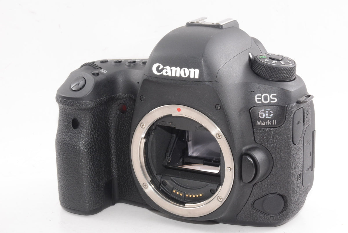 【外観並級】Canon EOS 6D Mark II EF24-105 IS STM