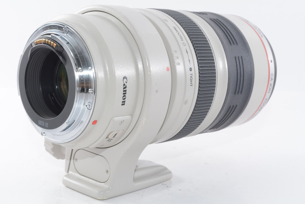 【外観並級】Canon EF 35-350mm F3.5-5.6L USM