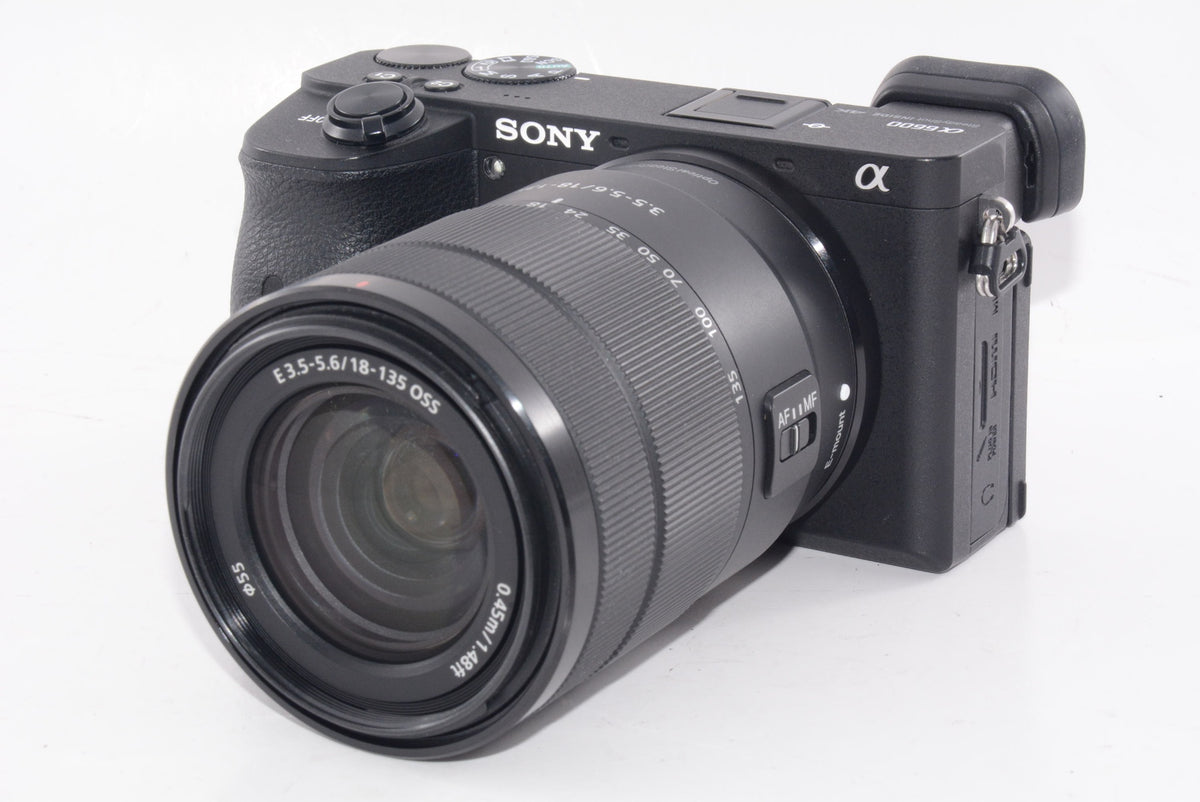 【外観特上級】SONY ミラーレス一眼 α6600M  E 18-135mm F3.5-5.6 OSS SEL18135