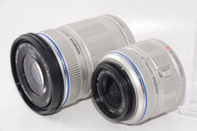 【外観特上級】OLYMPUS ミラーレス一眼 E-PL1s