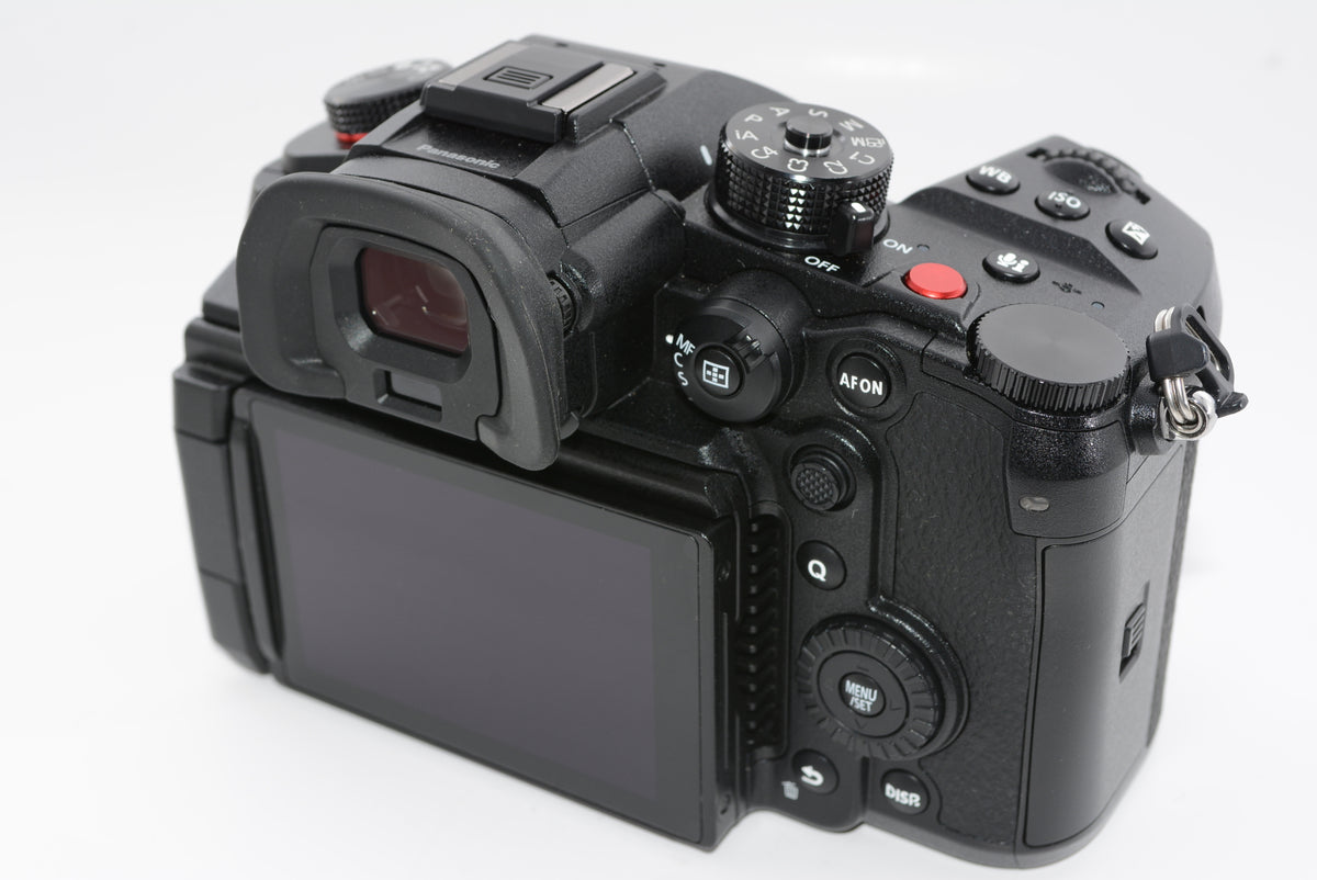 【外観特上級】パナソニック ミラーレス一眼カメラ ルミックス GH6L レンズキット 標準ズームレンズ付属 ブラック DC-GH6L