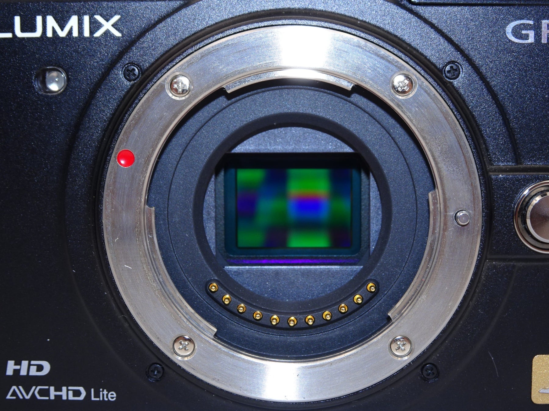 【外観特上級】Panasonic LUMIX GF1 ボディ DMC-GF1