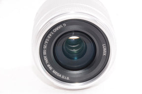【外観特上級】パナソニック ルミックス G VARIO 35-100mmF4.0-5.6
