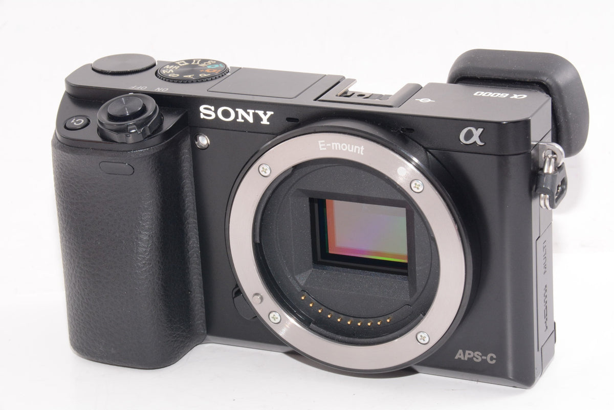 【外観並級】SONY ミラーレス一眼 α6000 ダブルズームレンズキット