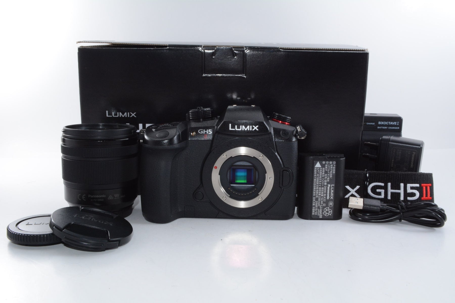 【外観特上級】パナソニック ミラーレス一眼カメラ ルミックス GH5M2 レンズキット 標準ズームレンズ付属 ブラック DC-GH5M2M