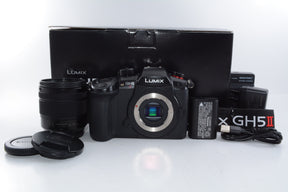 【外観特上級】パナソニック ミラーレス一眼カメラ ルミックス GH5M2 レンズキット 標準ズームレンズ付属 ブラック DC-GH5M2M