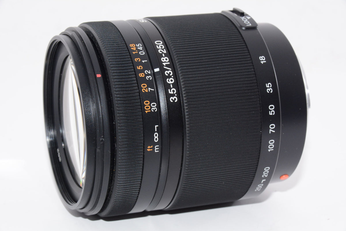 【外観特上級】ソニー SONY DT 18-250mm F3.5-6.3 SAL18250