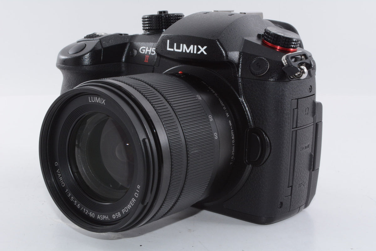【外観特上級】パナソニック ミラーレス一眼カメラ ルミックス GH5M2 レンズキット 標準ズームレンズ付属 ブラック DC-GH5M2M