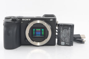 【外観特上級】ソニー SONY ミラーレス一眼 α6600 ボディ ブラック ILCE-6600