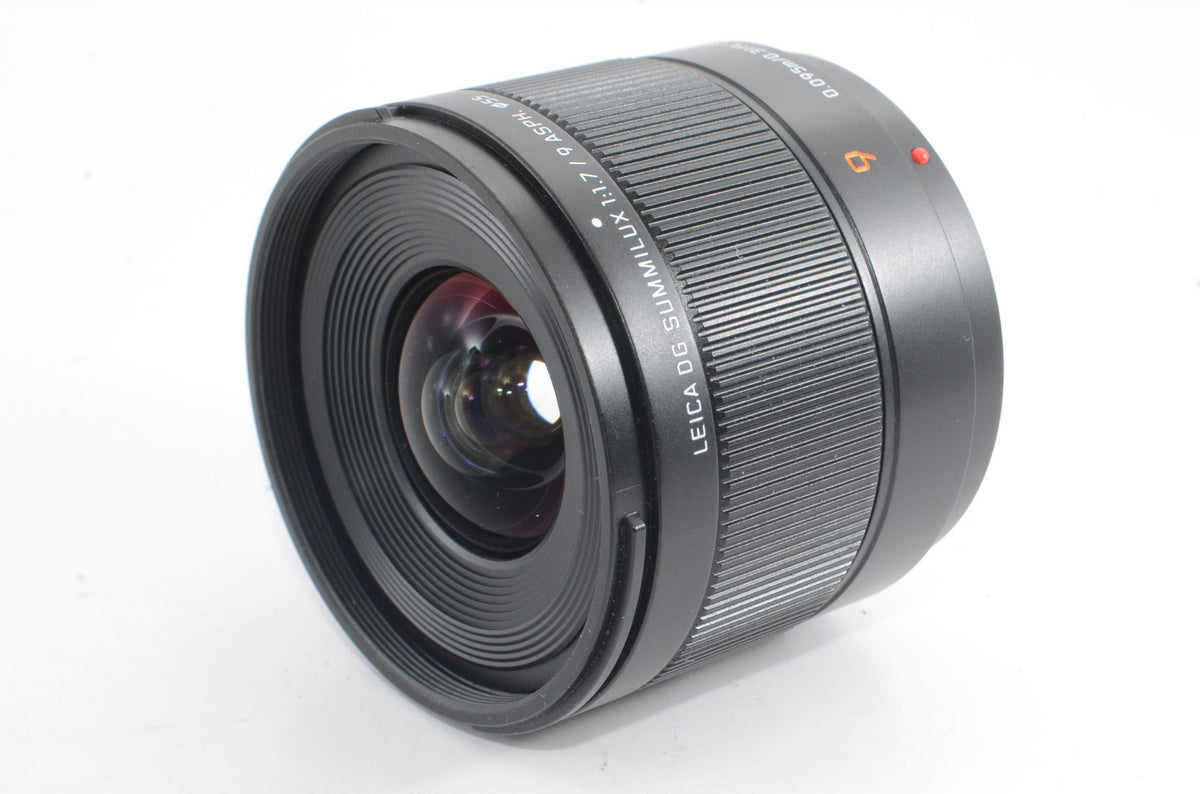 【外観特上級】Panasonic LUMIX カメラレンズ 交換可能レンズ デジタル一眼カメラ用 H-X09