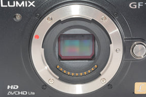 【外観特上級】Panasonic LUMIX GF1 ボディ DMC-GF1