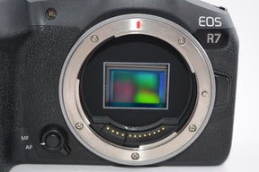 【外観並級】Canon  ミラーレス一眼カメラ EOS R7 ボディ