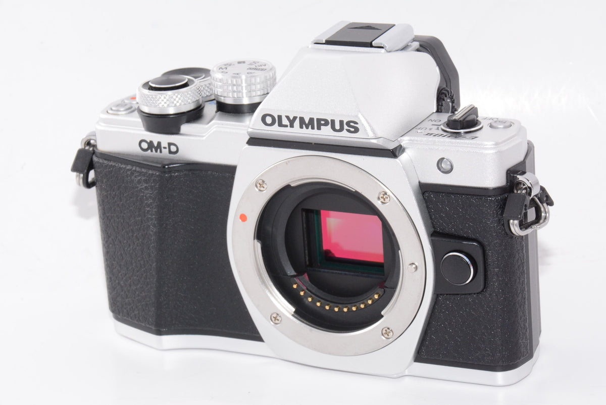 【外観特上級】OLYMPUS ミラーレス一眼 OM-D E-M10 MarkII ボディー ブラック