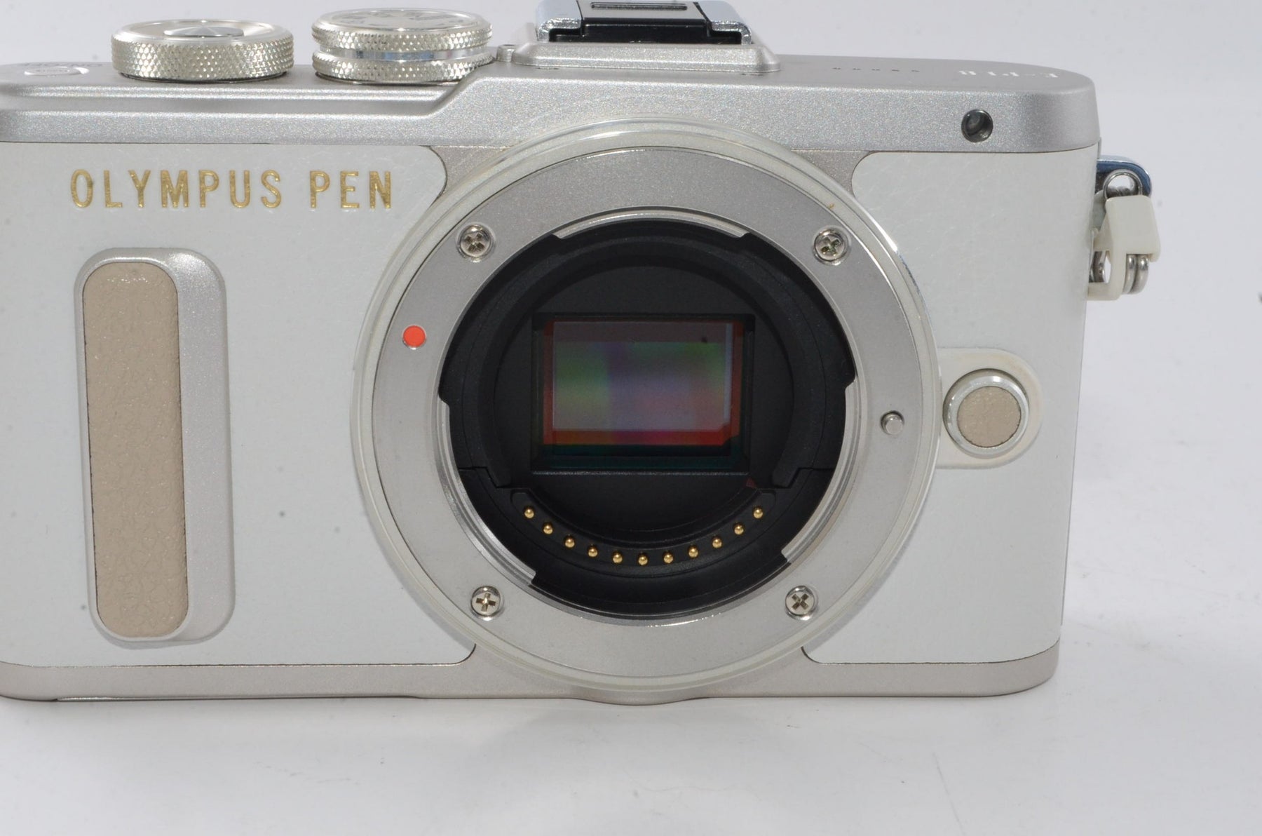 【外観特上級】OLYMPUS ミラーレス一眼 E-PL8 ボディー ホワイト