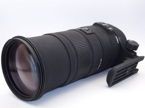 【外観並級】SIGMA 超望遠ズームレンズ APO 150-500mm F5-6.3 DG OS HSM キヤノン用 フルサイズ対応 737542