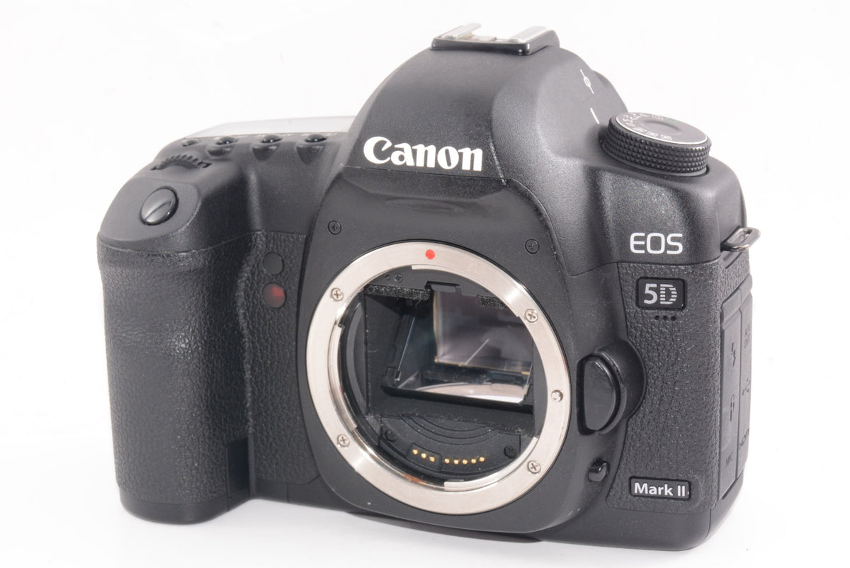 【外観並級】Canon  EOS 5D MarkII
